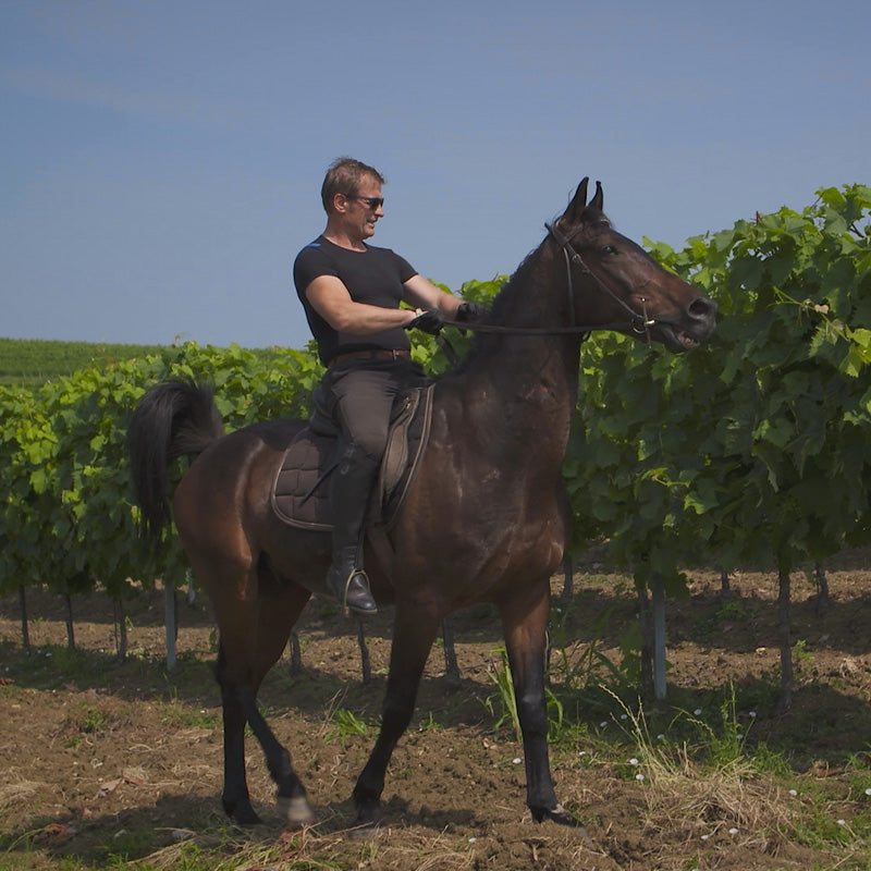 Josip Franković vom Weingut Franković aus Buje, hoch zu Ross und voller Stolz.